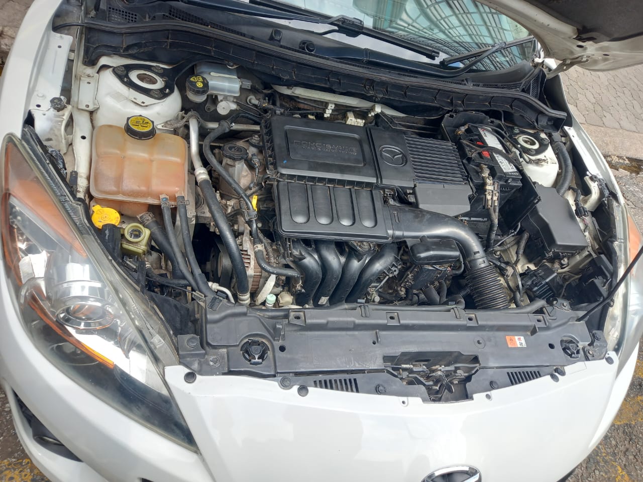 WhatsApp Image 2025-10-29 at 10.30.25